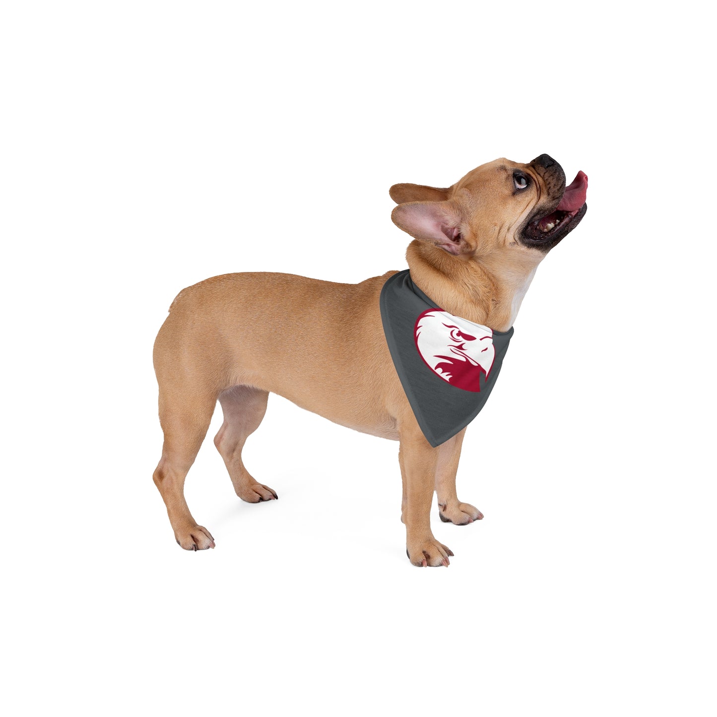 LHU - Pet Bandana - mudfm