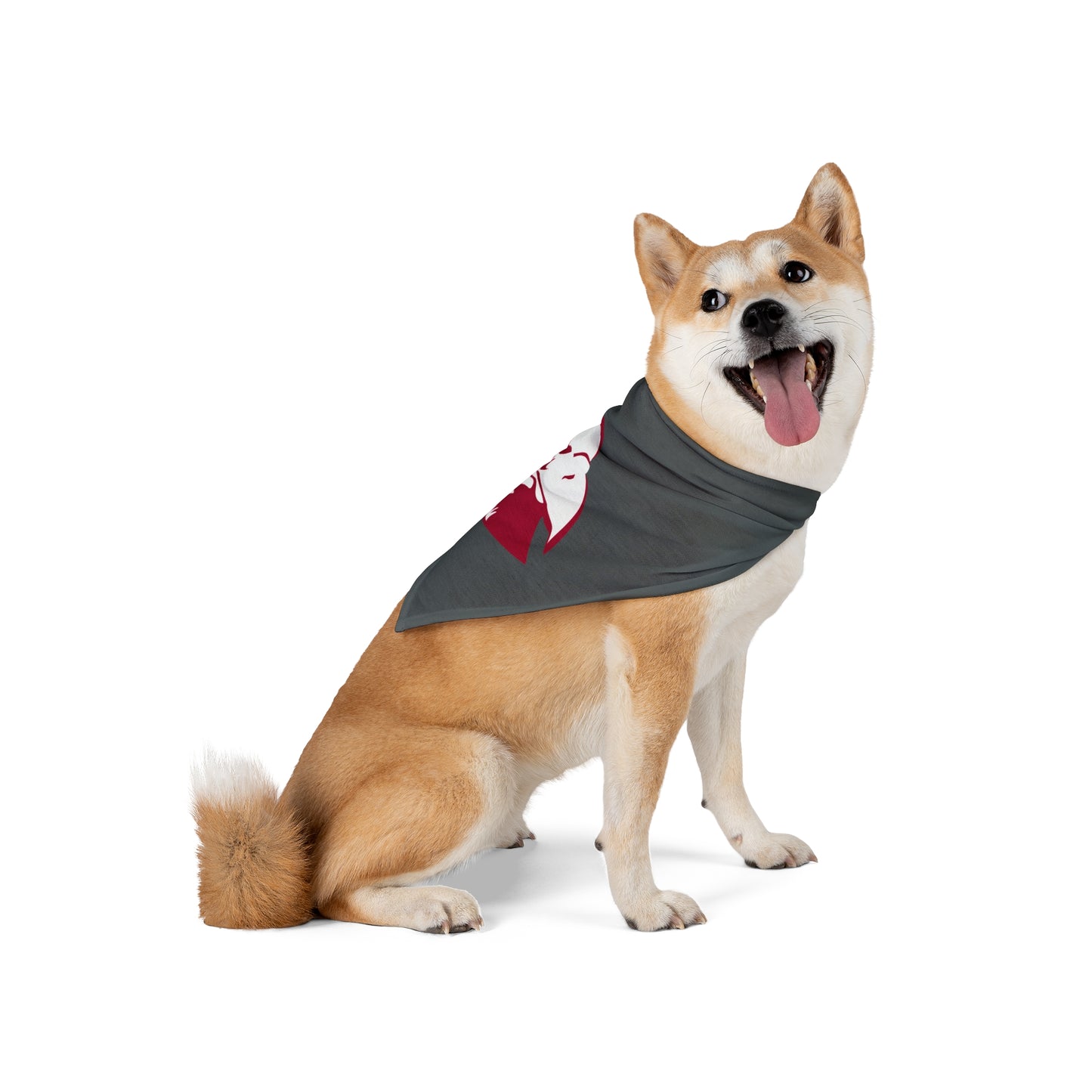 LHU - Pet Bandana - mudfm