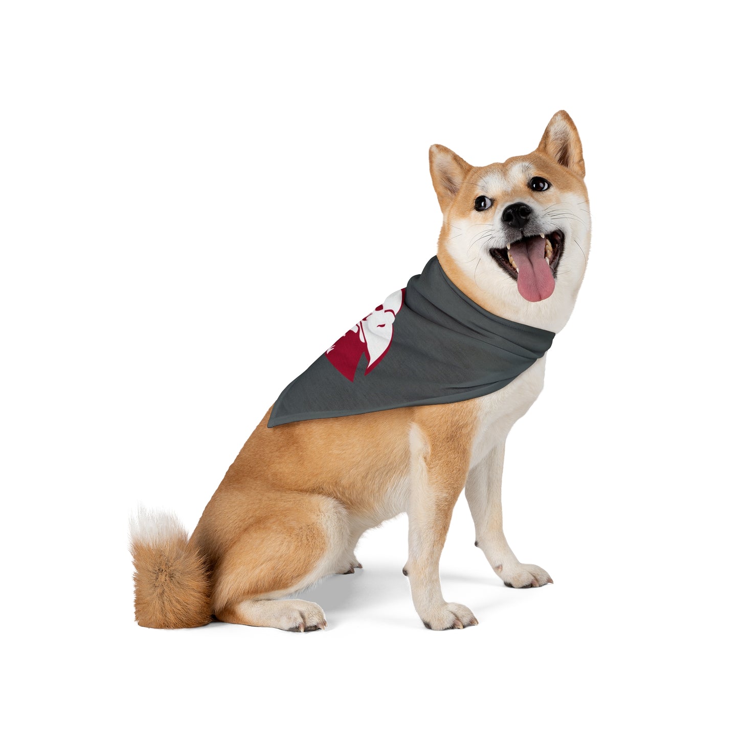 LHU - Pet Bandana - mudfm