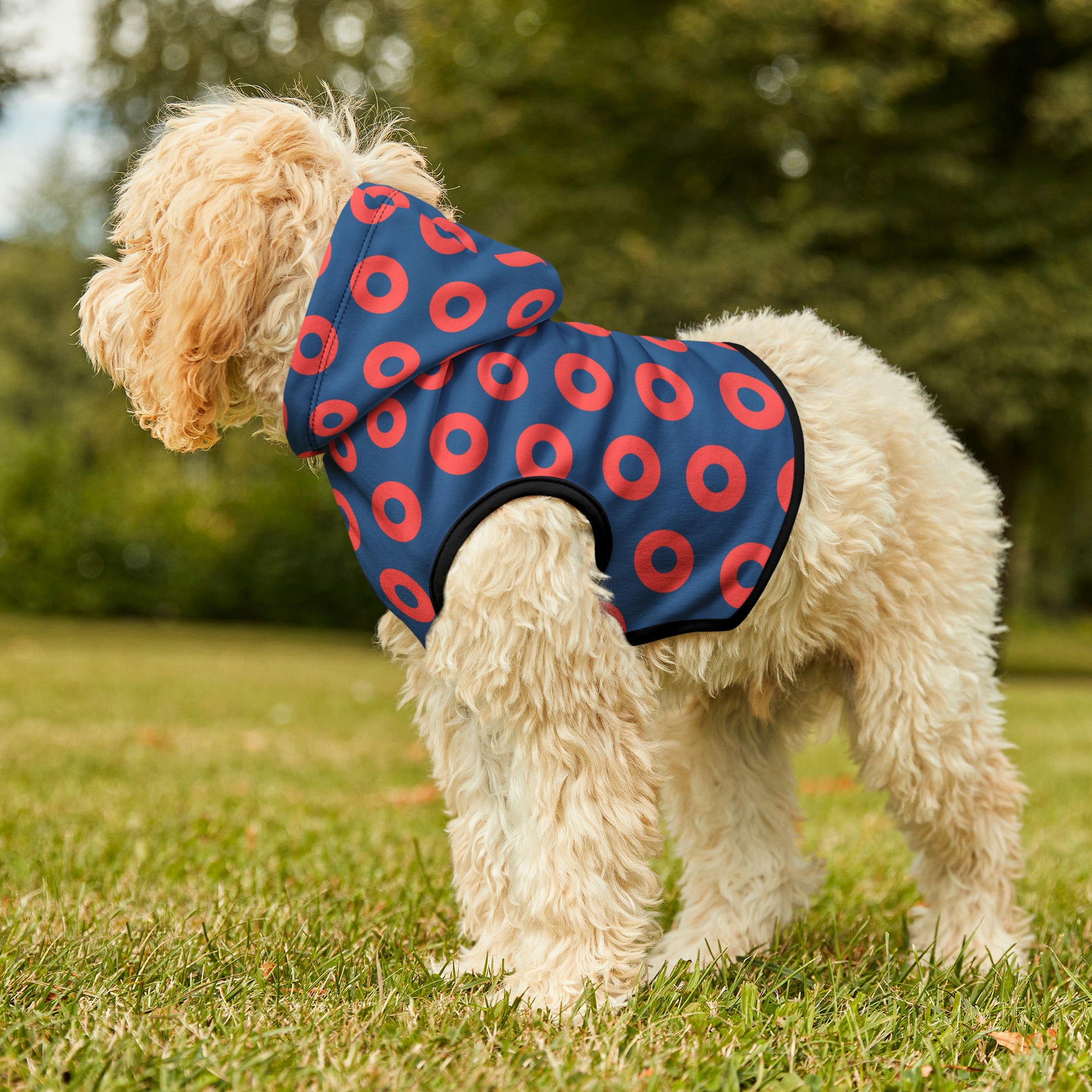 Donut Pet Hoodie - mudfm