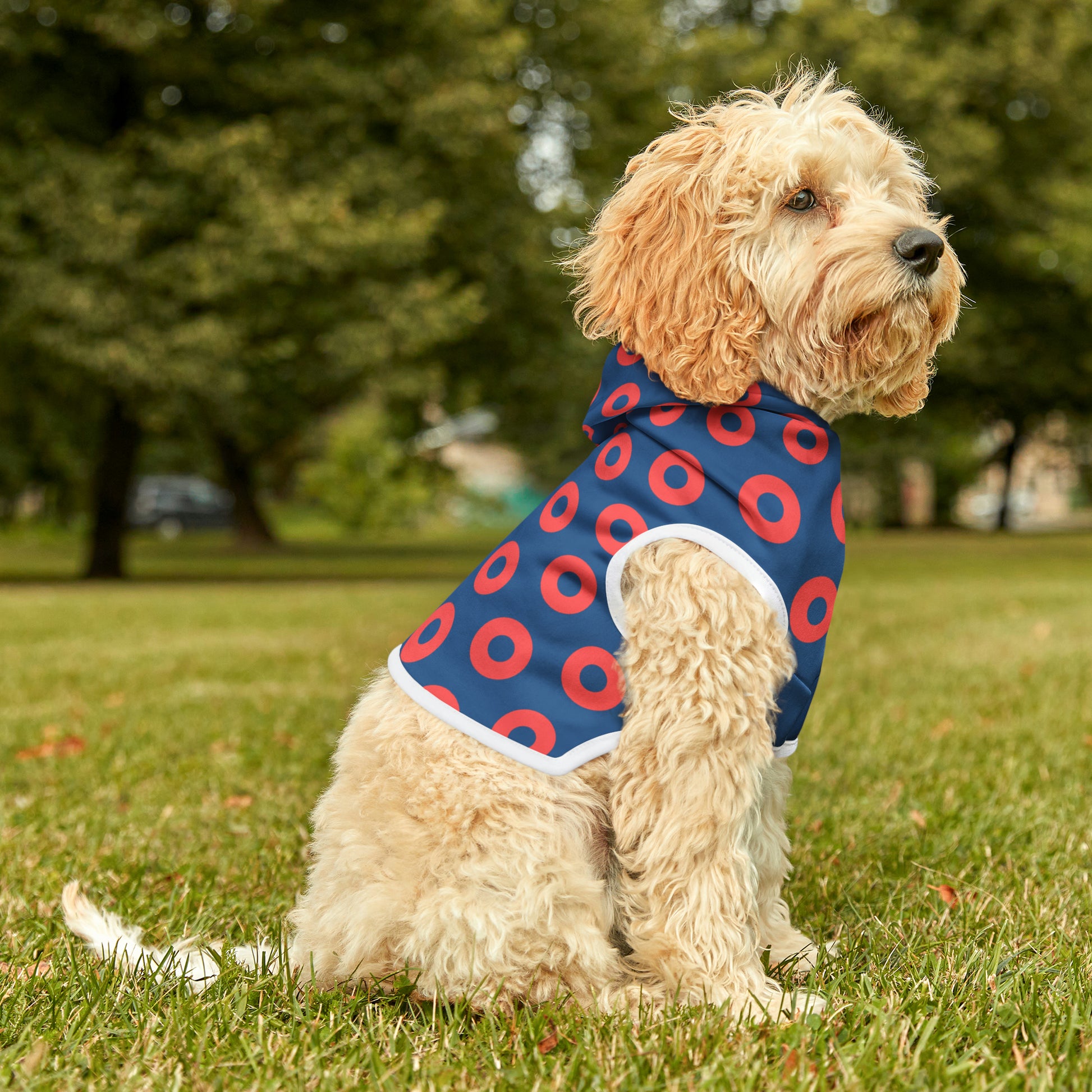 Donut Pet Hoodie - mudfm