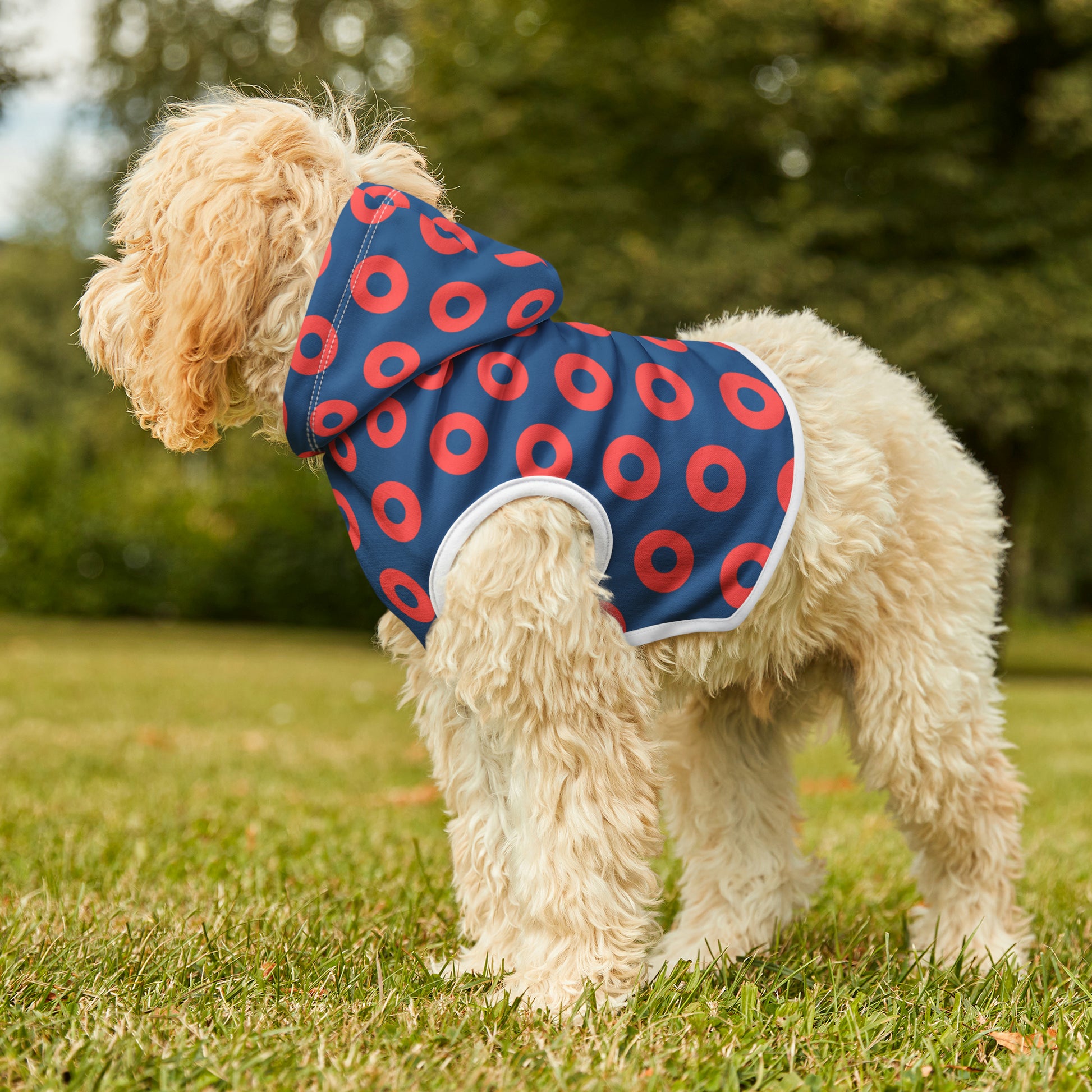 Donut Pet Hoodie - mudfm