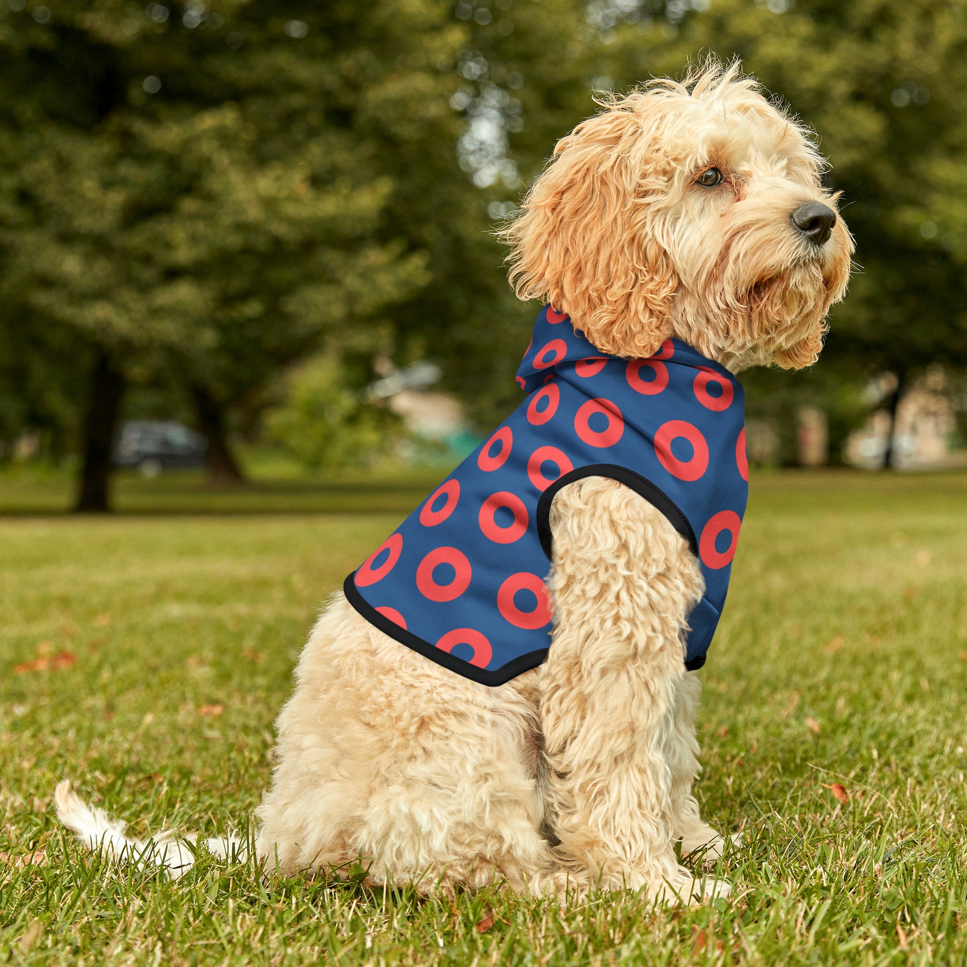 Donut Pet Hoodie - mudfm