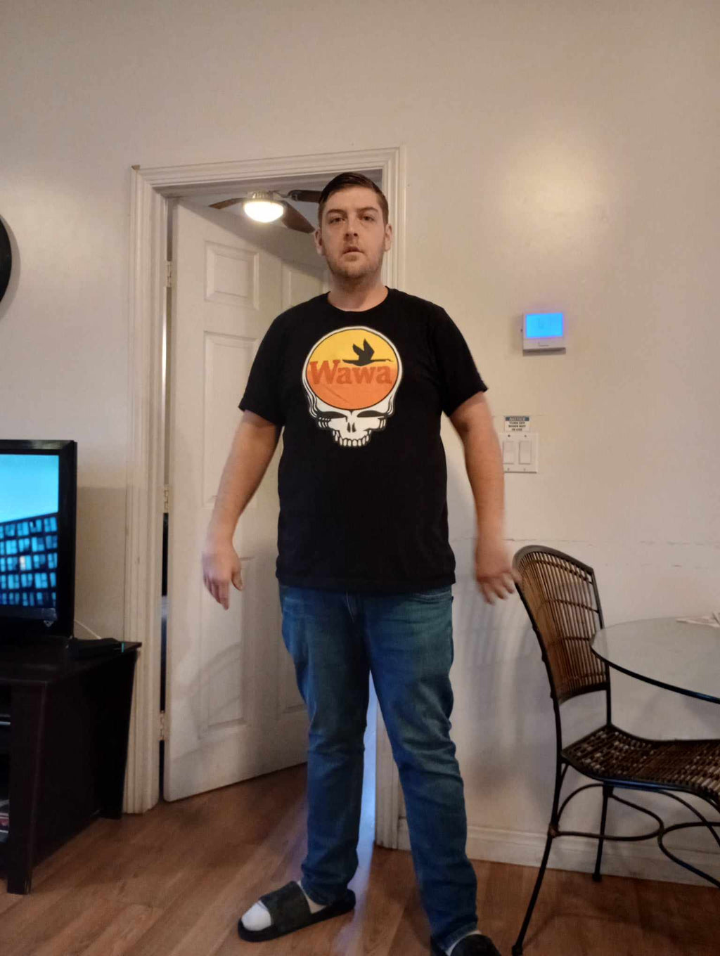 Steal Your Wawa Shirt